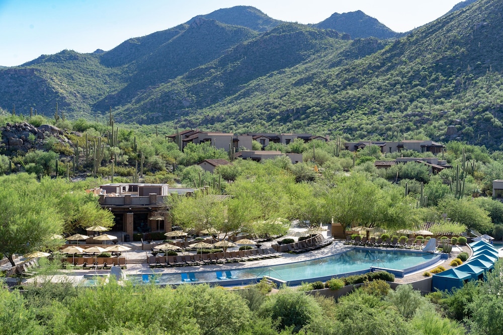 The Ritz Carlton Dove Mountain - photo 44