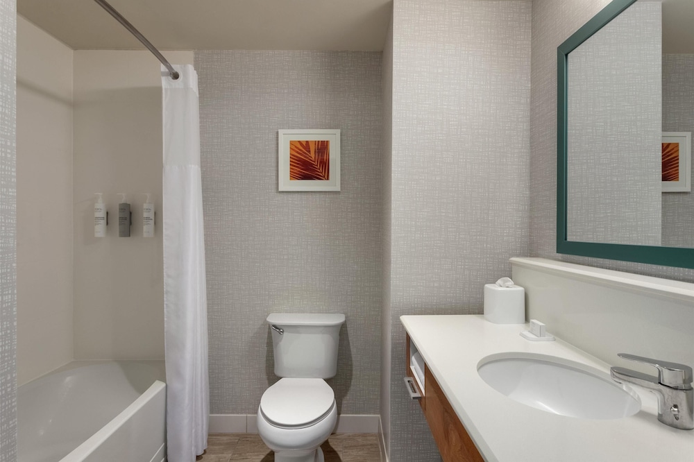 Hampton Inn & Suites Tampa Busch Gardens Area - photo 30