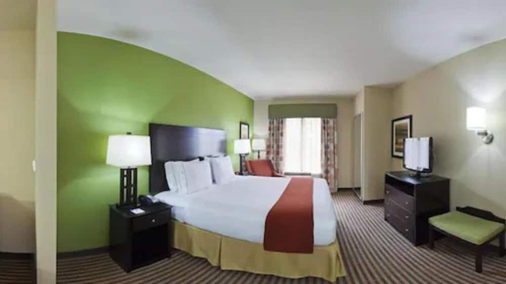 Holiday Inn Express & Suites Maumelle Little Rock NW by IHG - photo 12