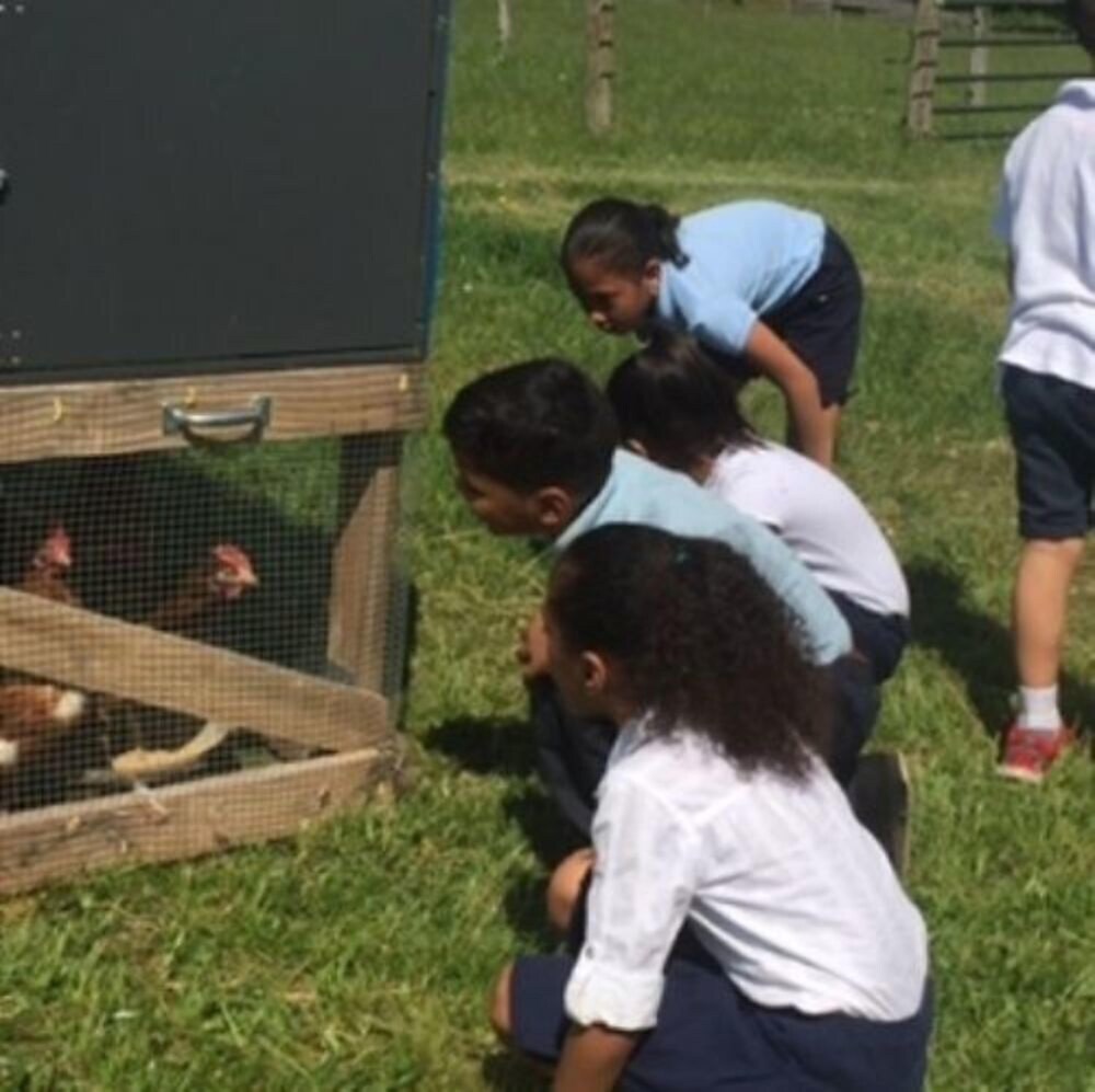 Flint Hill Farm AG - photo 70