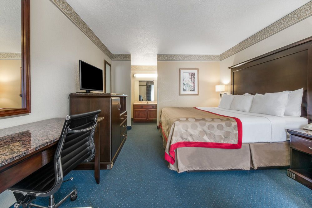 Vivo Living New Braunfels - photo 9