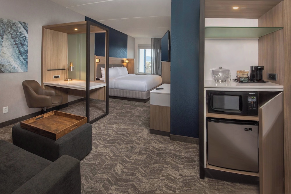 SpringHill Suites by Marriott Frederick - photo 11
