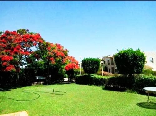 Marina 5 مارينا in Al `Alamayn, Egypt