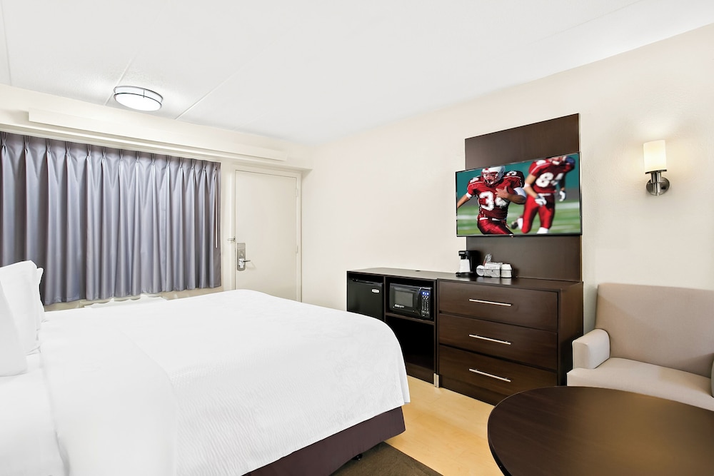 Red Roof Inn PLUS Baltimore Washington DC BWI Airport - photo 17