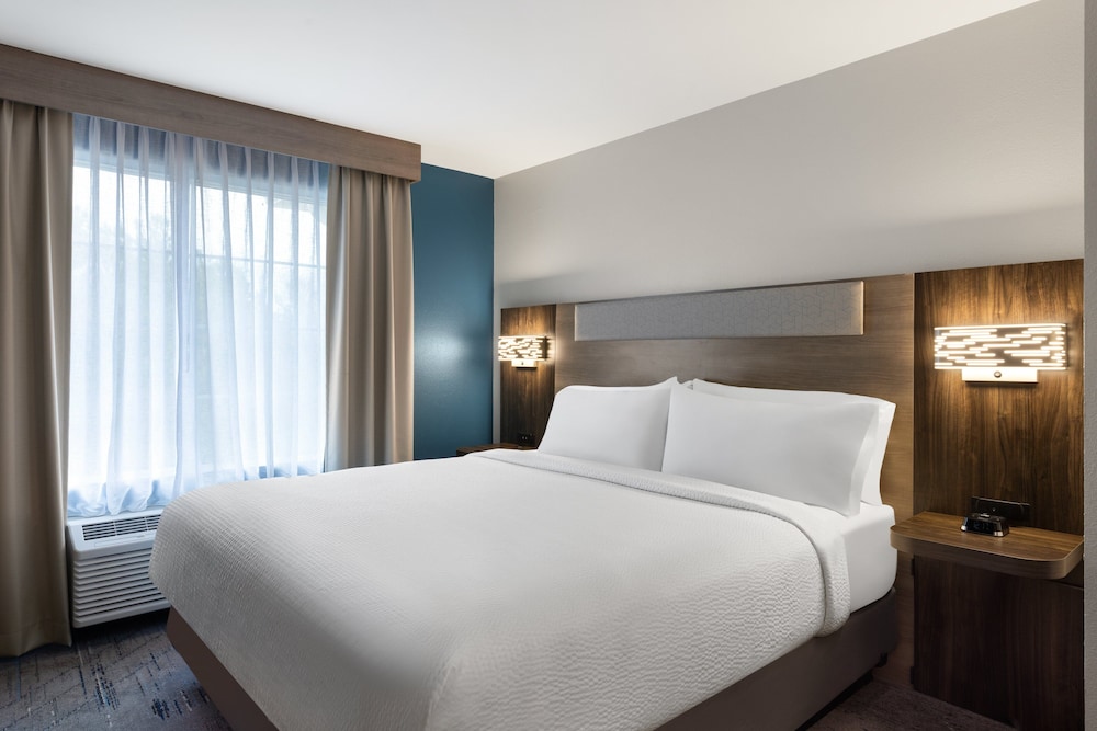 Holiday Inn Express Savannah Airport - photo 7