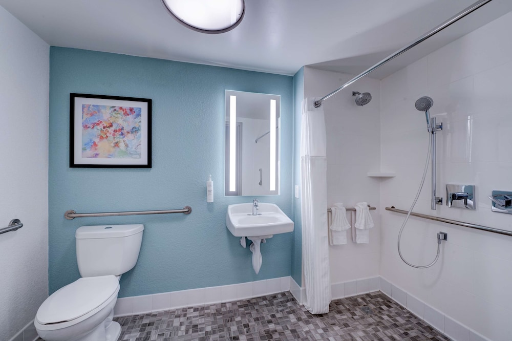 Hilton Garden Inn Anaheim Garden Grove - photo 14
