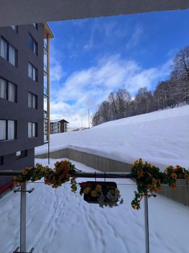 Crystal Wood Apartment 213