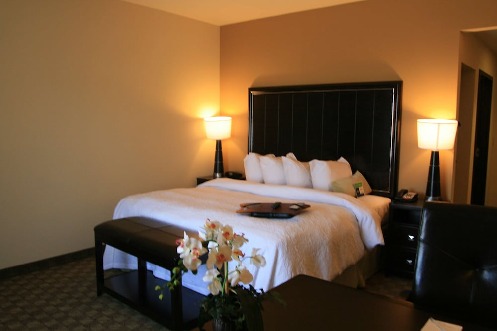 Hampton Inn & Suites McAlester - photo 5