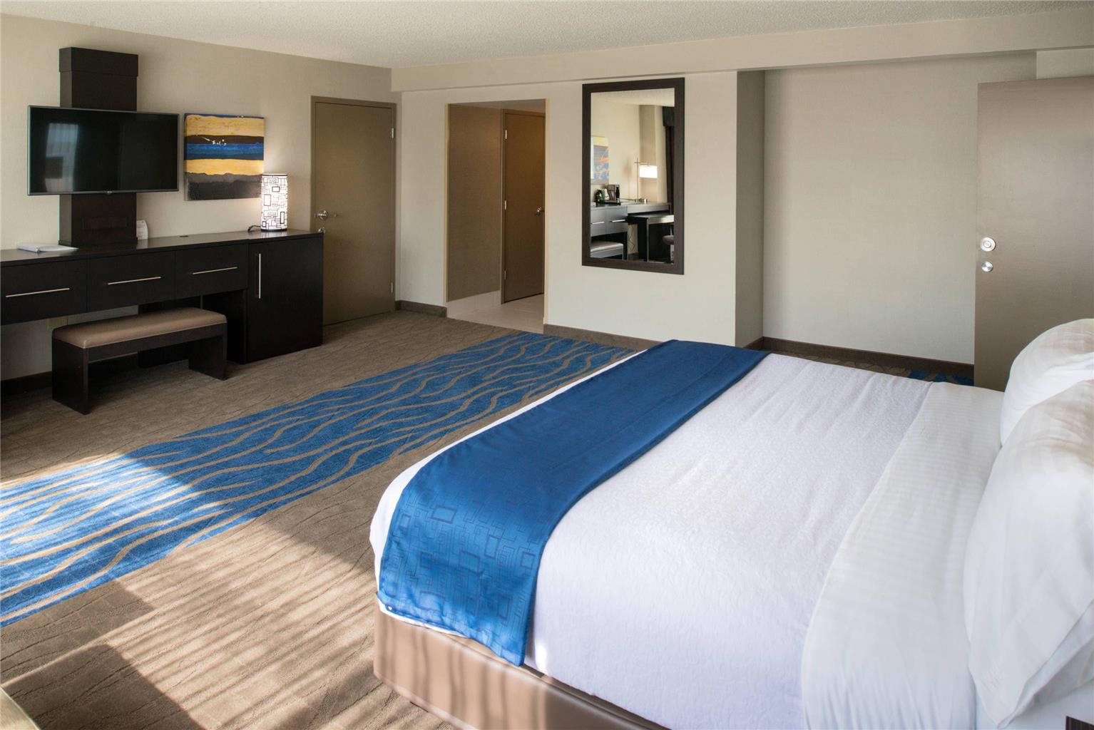 Radisson Hotel St. Louis Downtown Convention Center - photo 10