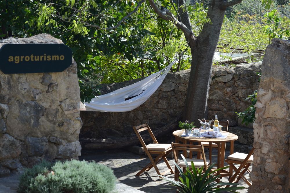 Agroturismo Son Penyaflor — Alaro — photo 4
