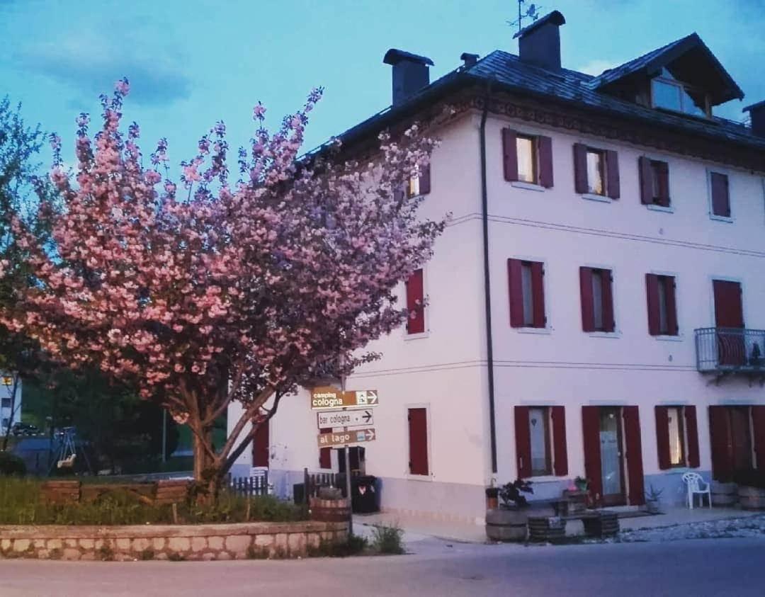 Casa Ciccarelli — 4-Star Luxury Hotel in Domegge Di Cadore, Italy