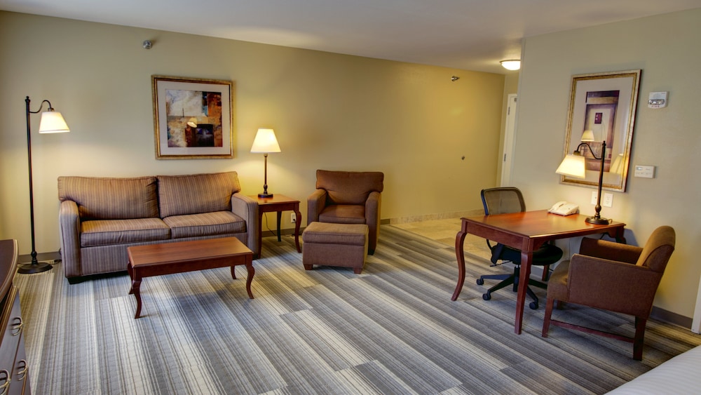 Holiday Inn Express & Suites Sioux City Southern Hills by IHG - photo 13