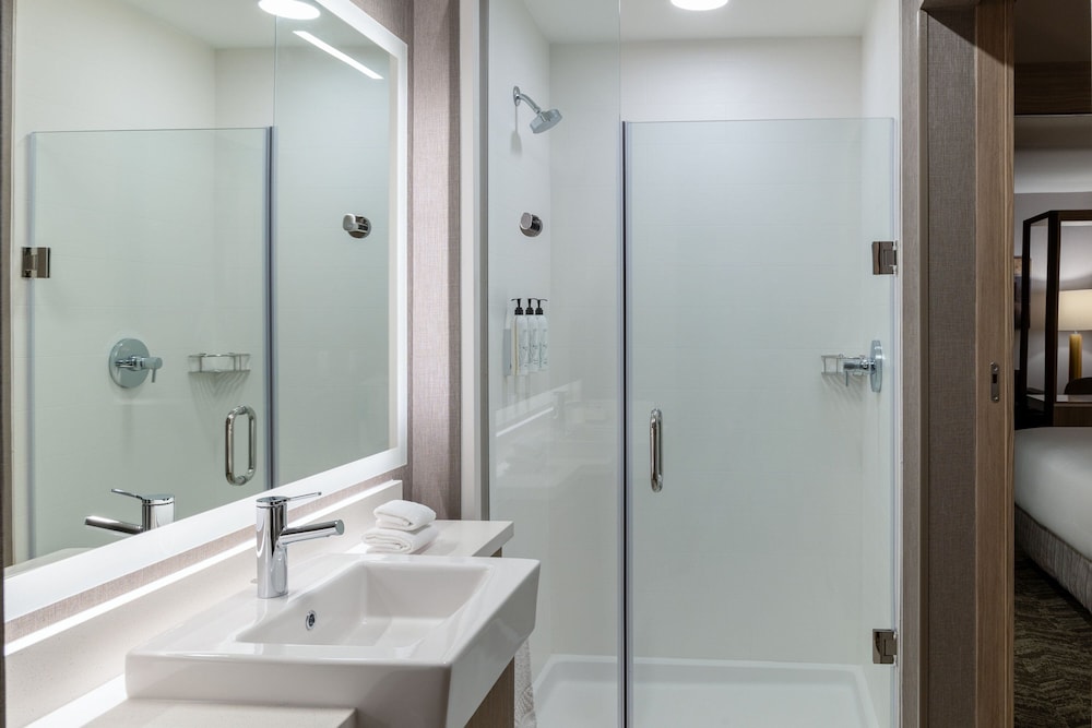 SpringHill Suites by Marriott Pleasanton - photo 5