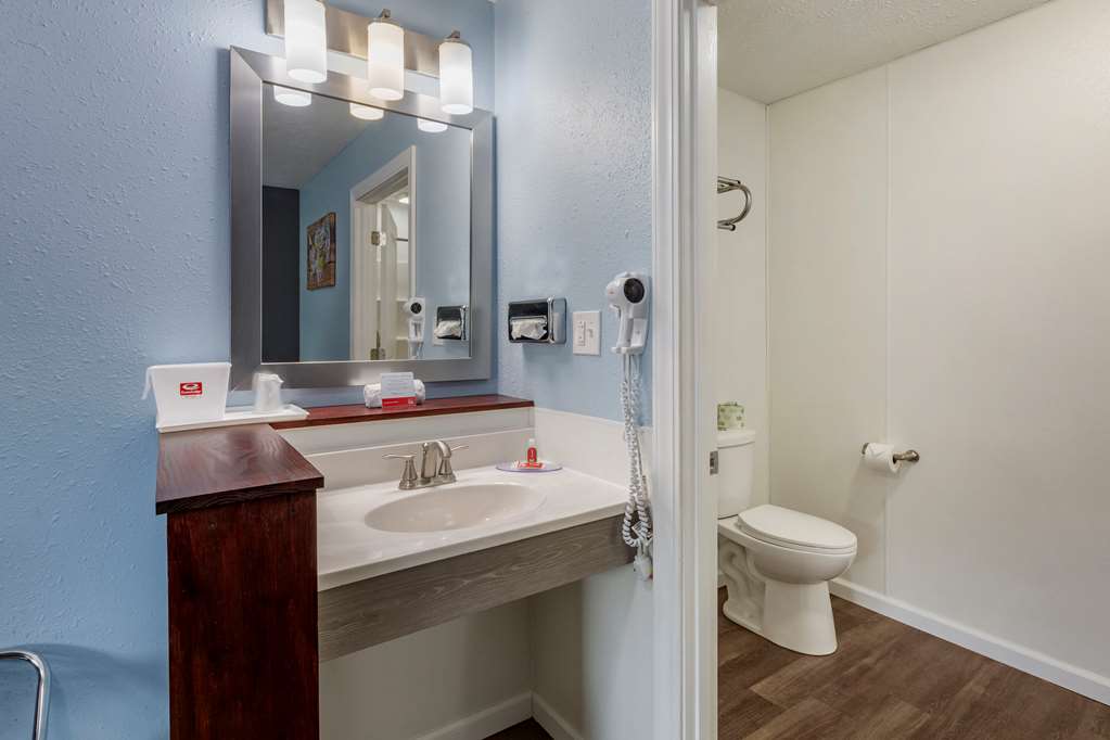 Econo Lodge Inn & Suites Sandusky South - photo 21