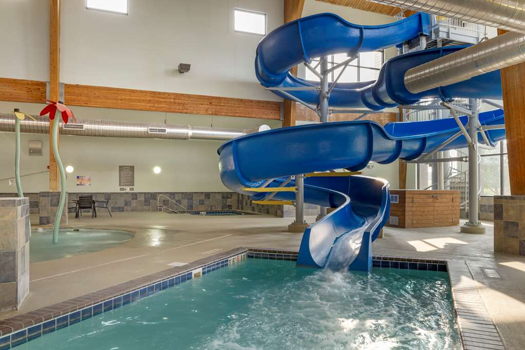 Best Western Watertown Inn and Suites - photo 6