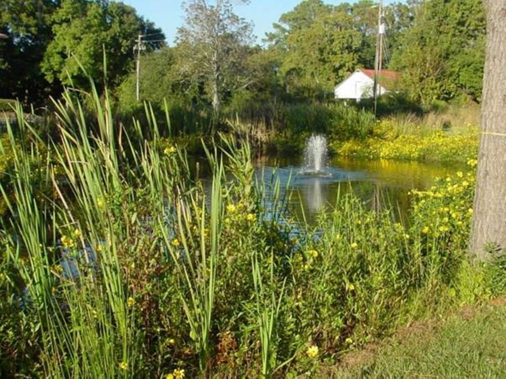 Rodeway Inn St. Helena Beaufort South - photo 19