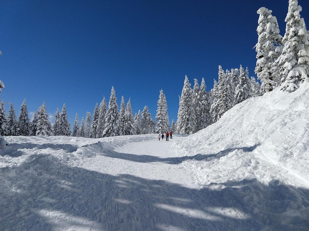 Callahan's Mountain Lodge - photo 68