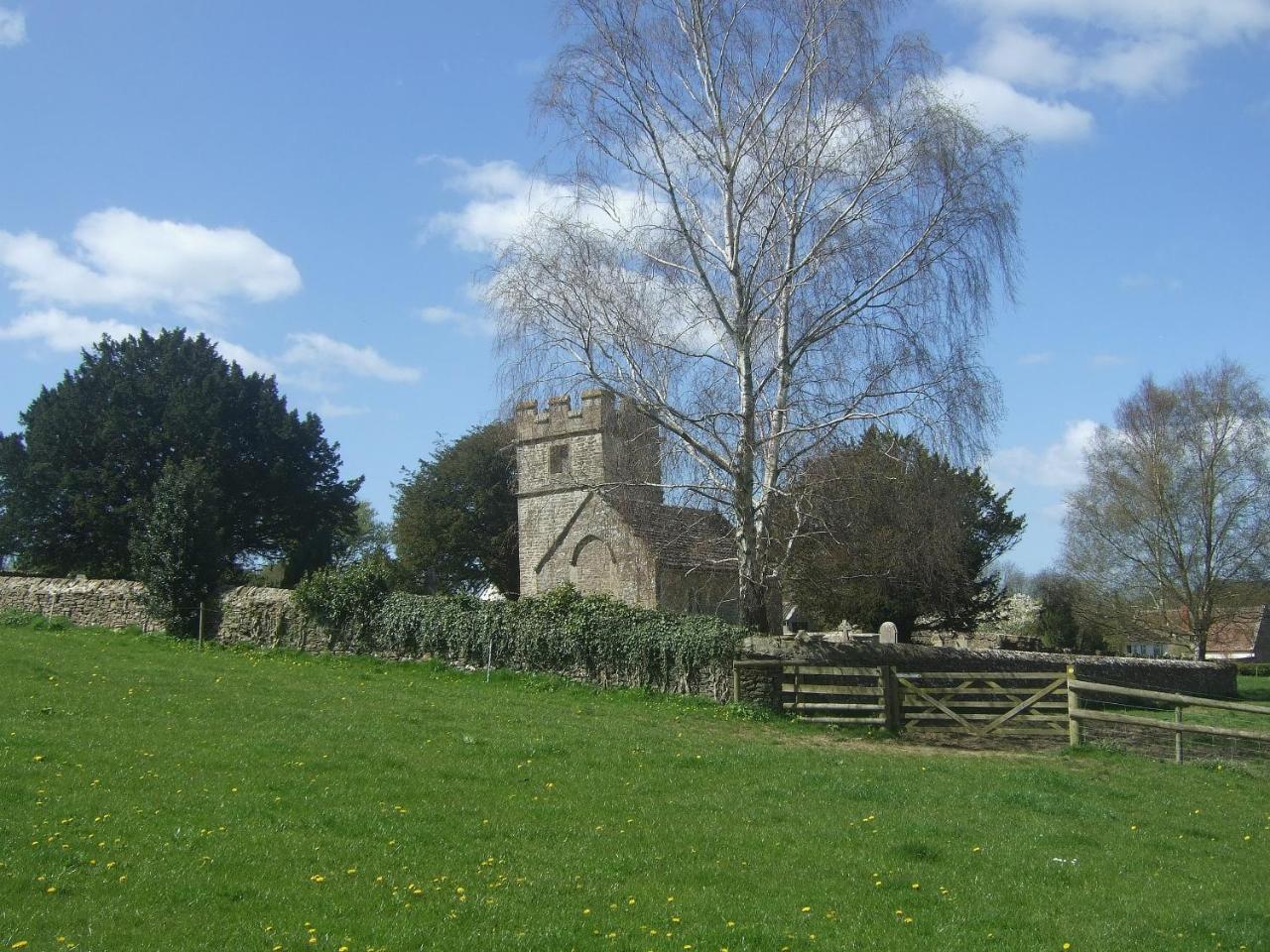 Buzzards 8235 in Bridport, United Kingdom