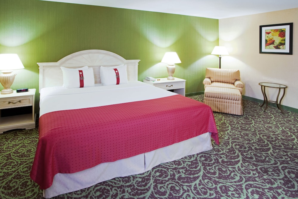 Holiday Inn Chantilly Dulles Expo Center by IHG - photo 14