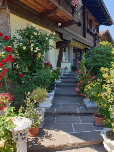 Appartment Graukogel Blick — 4-Star Luxury Hotel in Bad Hofgastein, Austria
