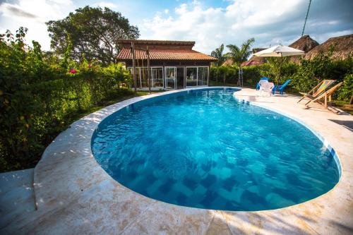 Indigo Palomino — Riofrio