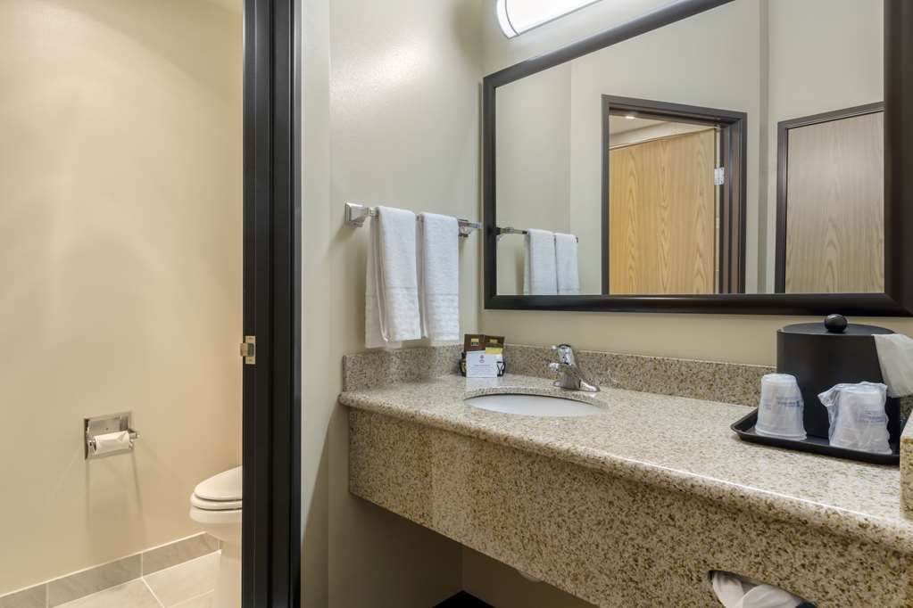 Best Western Plus Grapevine Inn - photo 40