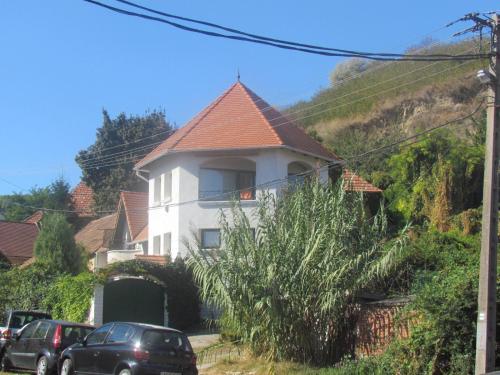 Bodrogzug Vendeghaz — hotel in Tokaj