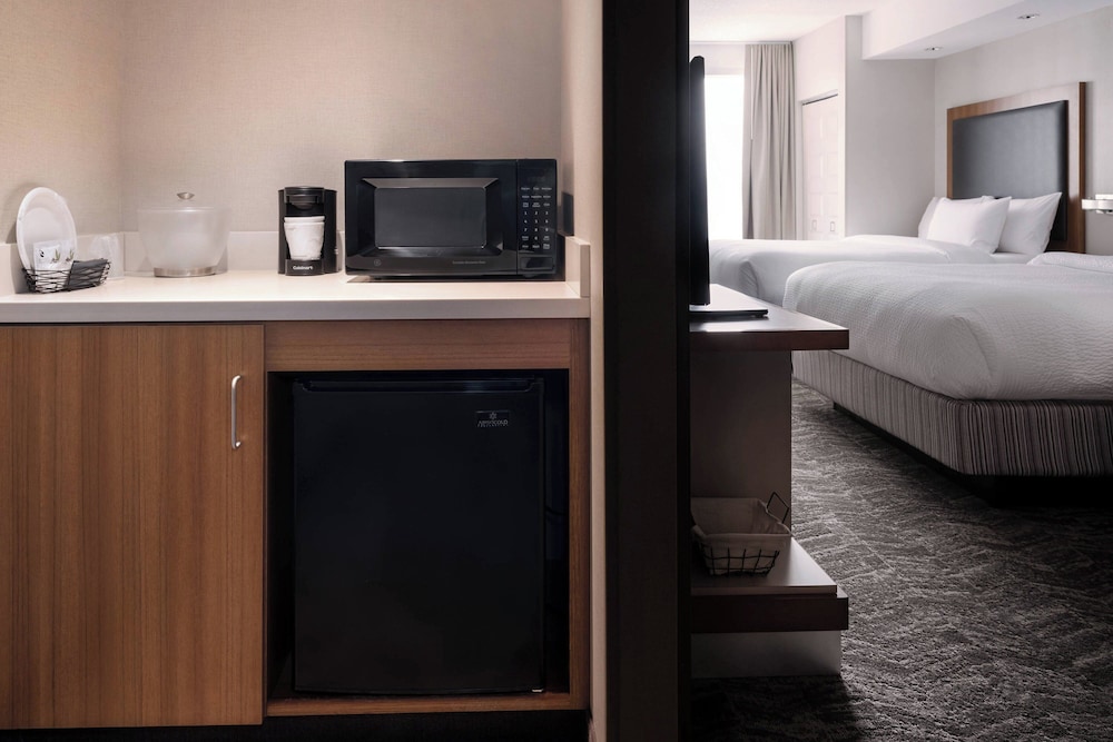Springhill Suites by Marriott Syracuse Carrier Circle - photo 6