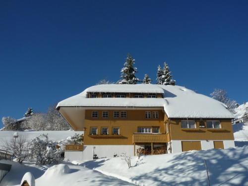 Berghof Almzeit Fewo Philosophenstüble Sauna Todtnauberg Feldberg — 4-Star Luxury Hotel in Todtnau, Germany
