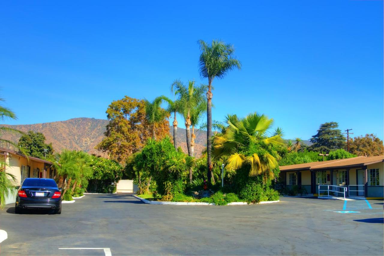 Palm Tropics Motel - photo 9