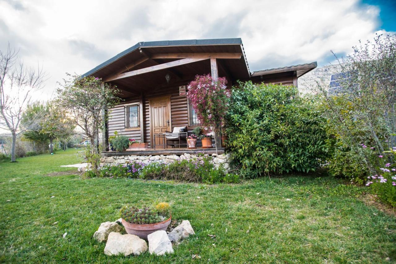 Cabaña de campo pet-friendly hotel Agost