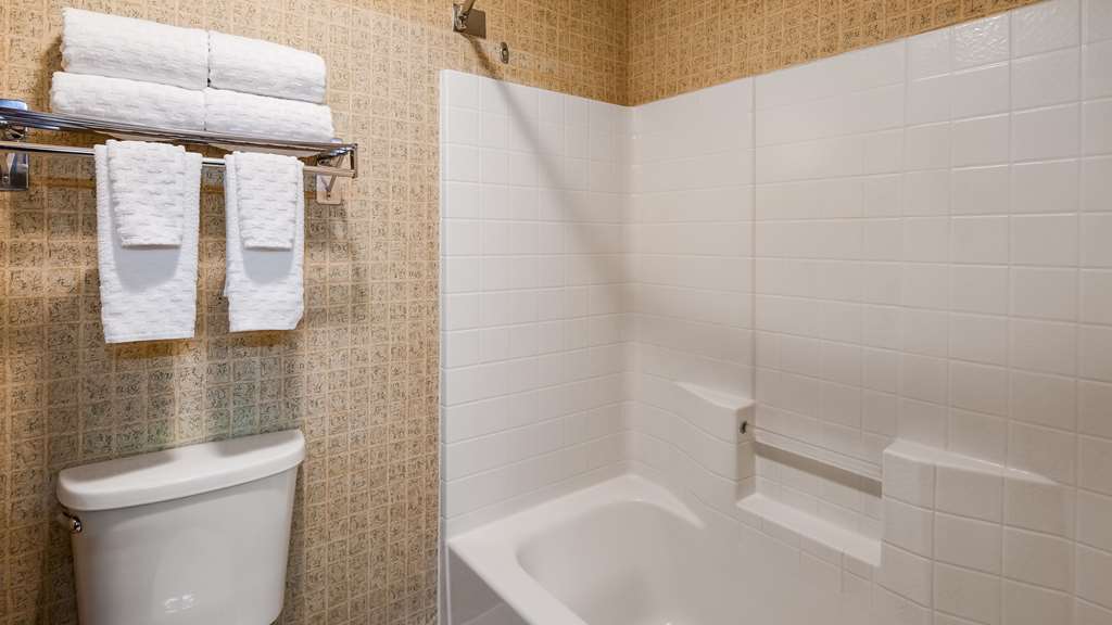 Best Western Rama Inn - photo 37