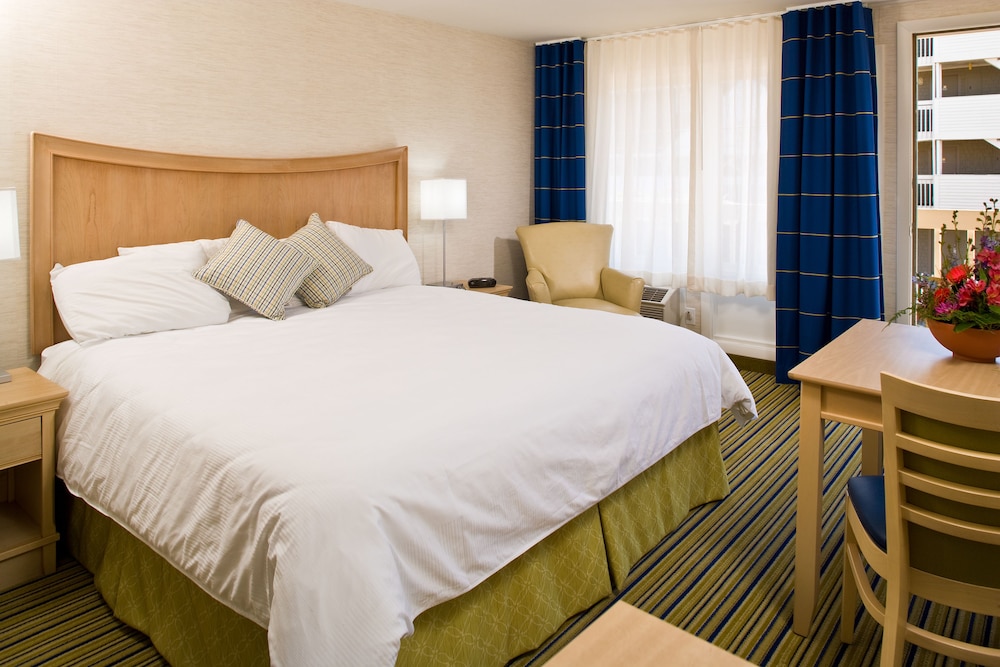 Surfside Hotel and Suites - photo 15