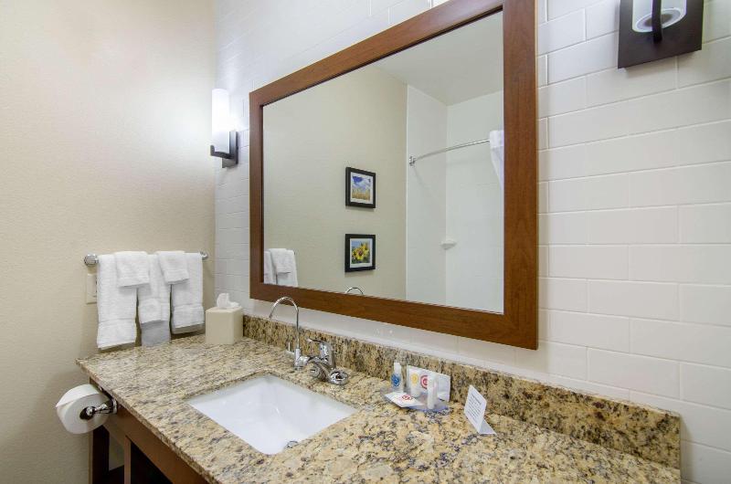 Comfort Inn & Suites Shawnee Kansas City - photo 4