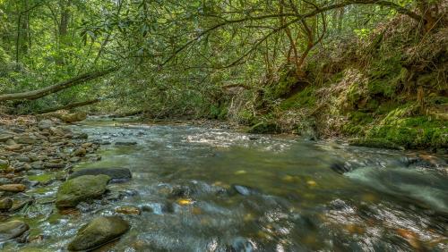 Water’s Edge — Unknown City — photo 5