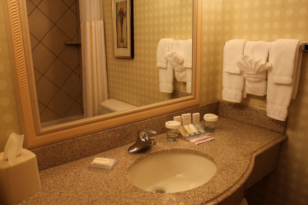 Hilton Garden Inn Starkville - photo 67