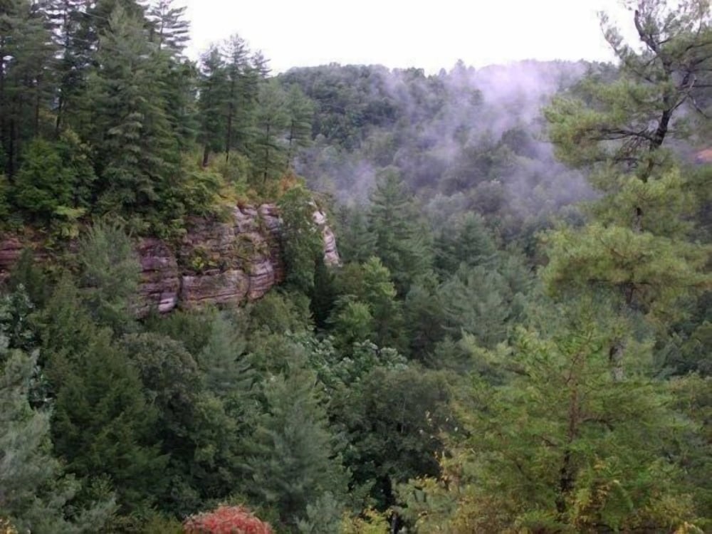 Cliffview Resort - photo 31