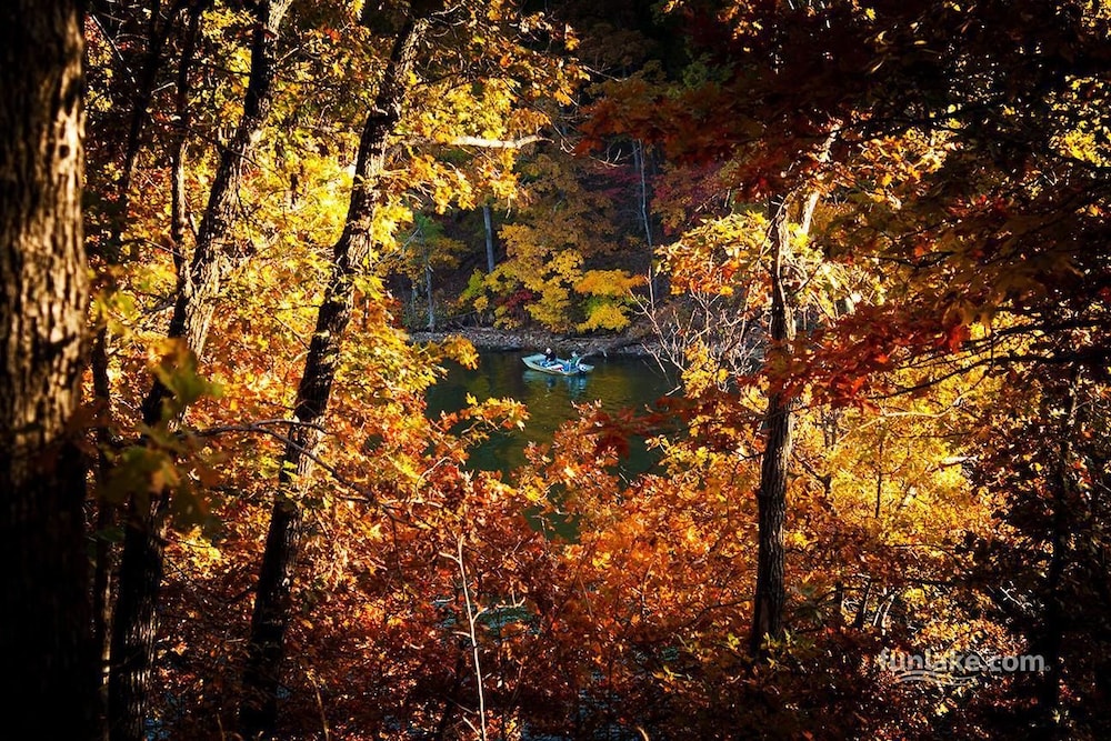 Chicaugon Lake Inn - photo 31