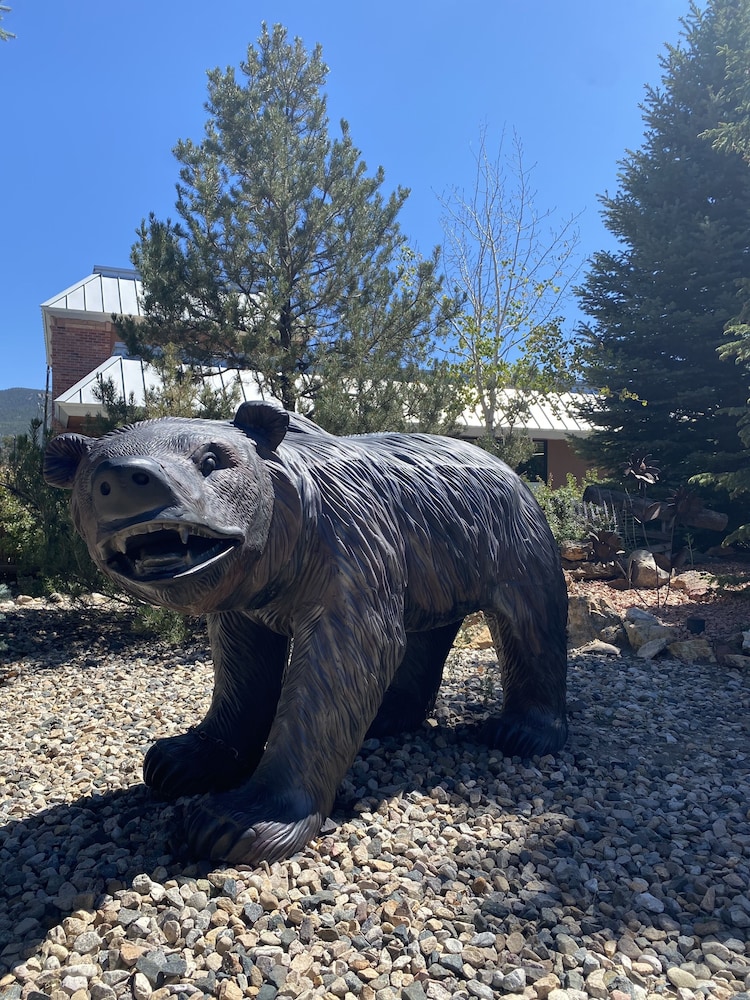 Browns Canyon Inn - photo 63