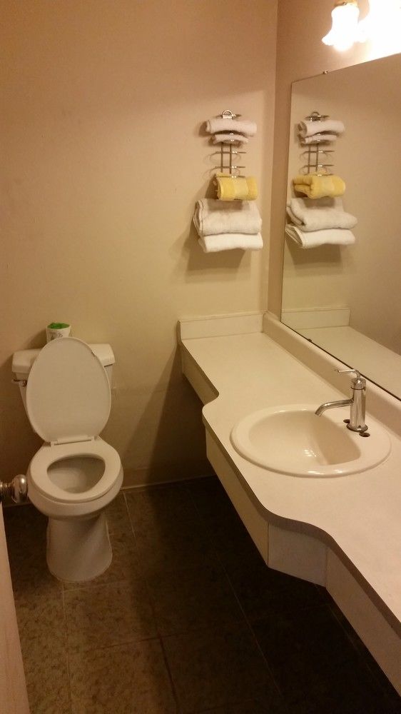 Western Motor Inn - photo 8
