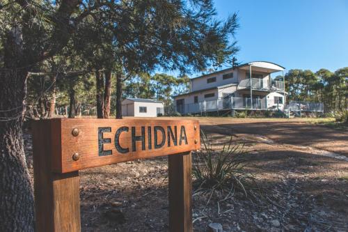 Echidna on Bruny — Unknown City — photo 3