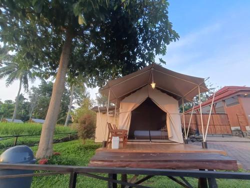 Glamping in Banyuwangi, Indonesia