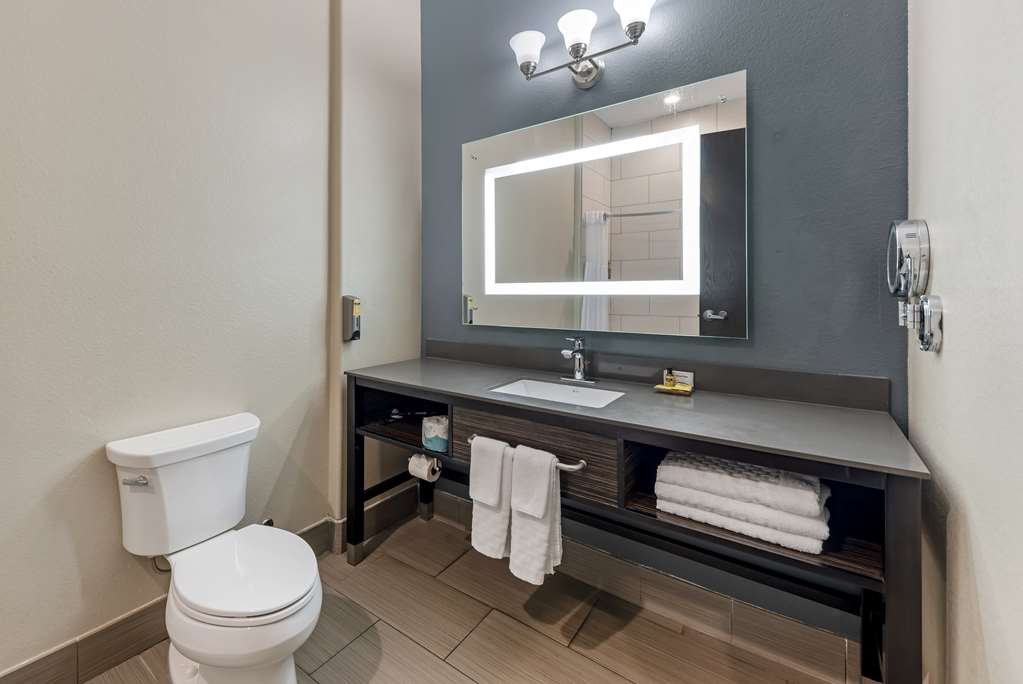 Best Western Plus Pflugerville - photo 17