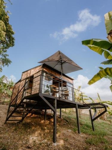 Copoazú Glamping in Floridablanca, Colombia