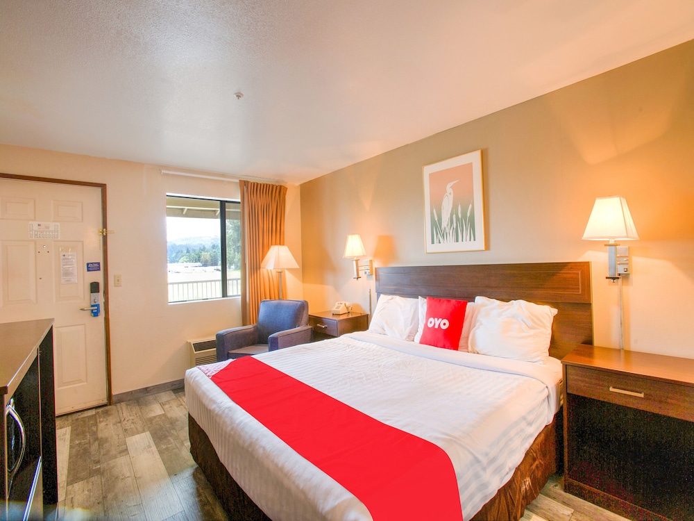 OYO Woodland Hotel and Suites - photo 12