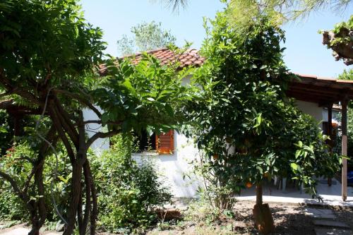 Nikos 3 in Zacharo, Greece