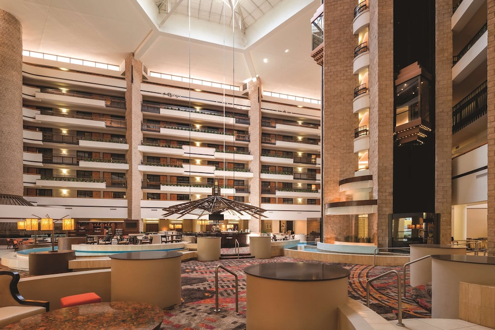 Embassy Suites by Hilton Orlando International Drive ICON Park - photo 4