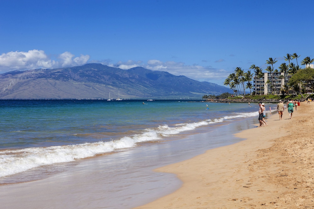 AEI at Maui Banyan - photo 20