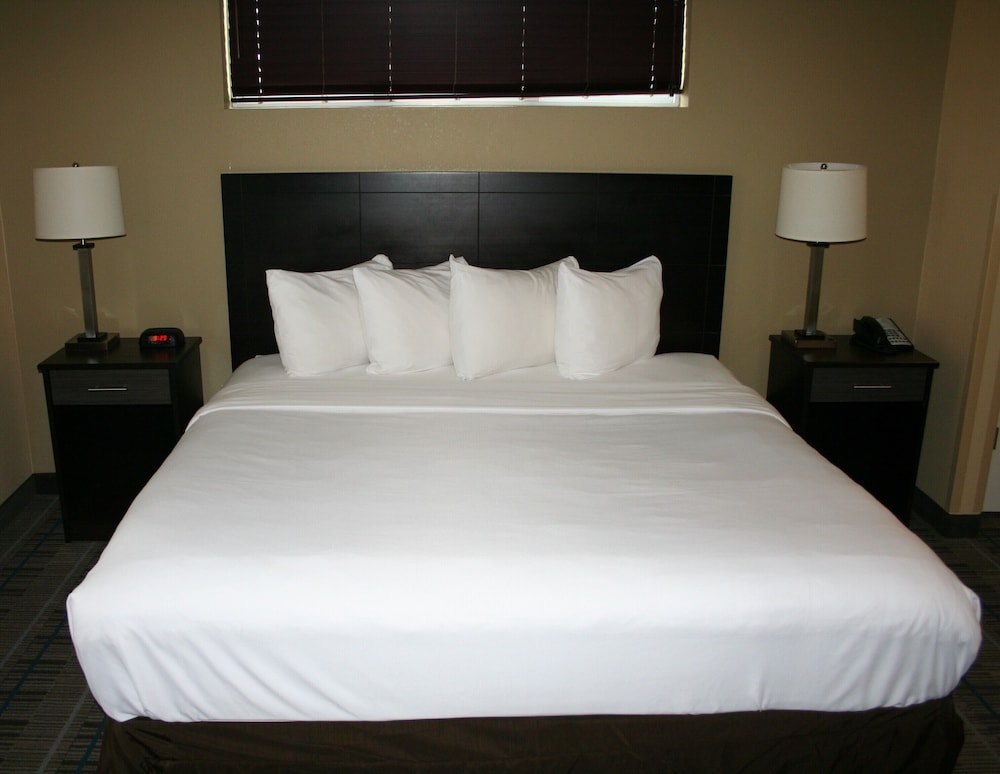 MainStay Suites Jacksonville near Camp Lejeune - photo 14