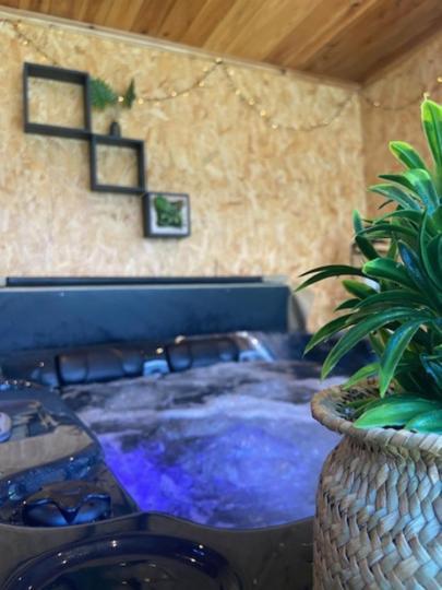 Meublé de tourisme Makaze in Saint-Louis, Réunion